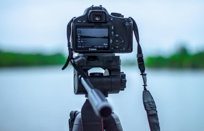 Do websites need professional images?